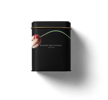 Raspberry Refresh RASPBERRY REFRESH – Maison Des Fleurs Chicago